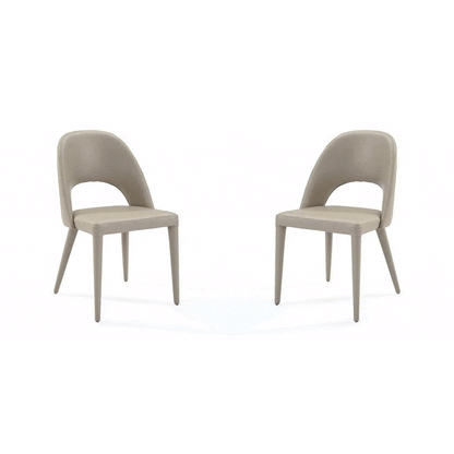 Van Dining Chair - Set of 2 - Dark Marble